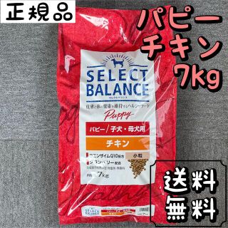 セレクト(SELECT)のセレクトバランス チキン 小粒 7kg パピー ドッグフード  ペットフード(ペットフード)