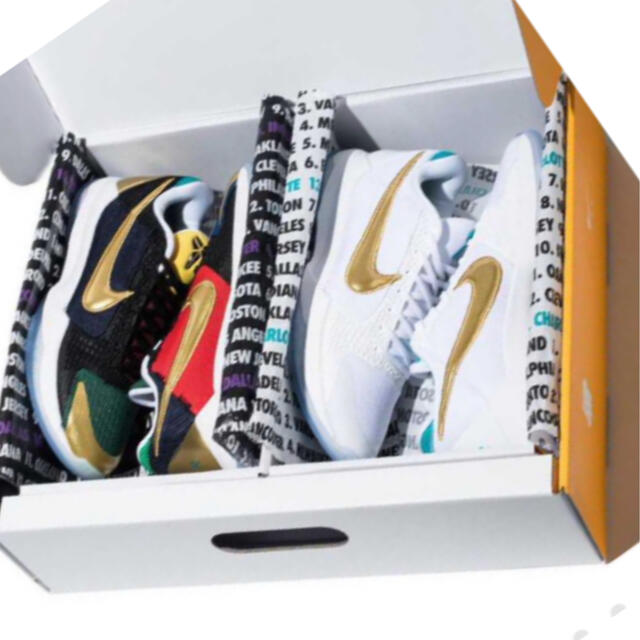 UNDEFEATEDNIKE KOBE 5 PROTROWHAT IF PACK - スニーカー
