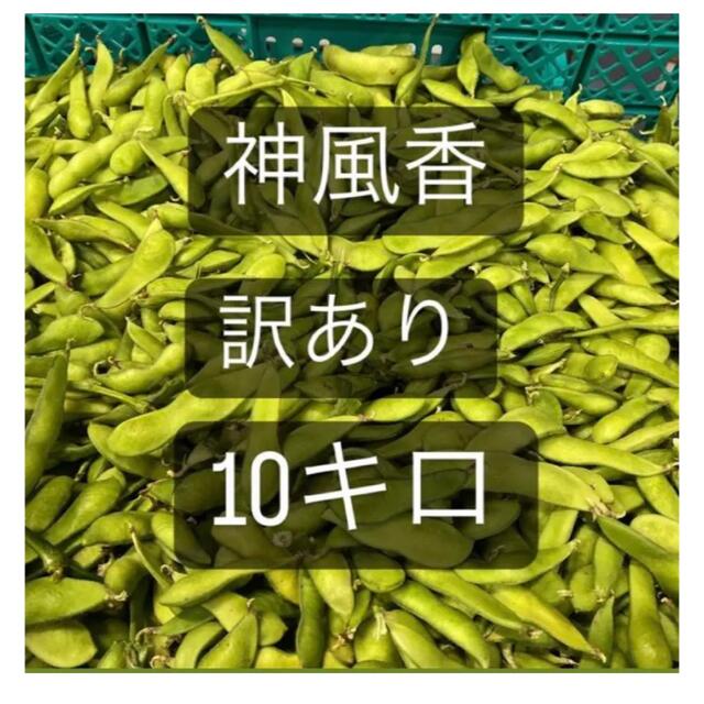 激安！特別価格、数量限定、訳あり品 枝豆 神風香　10キロ　有機肥料 食品/飲料/酒の食品(野菜)の商品写真