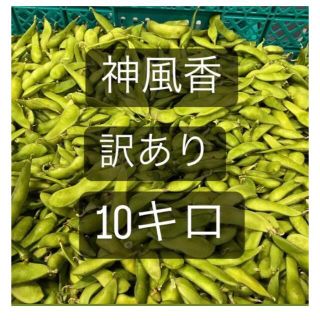 激安！特別価格、数量限定、訳あり品 枝豆 神風香　10キロ　有機肥料(野菜)