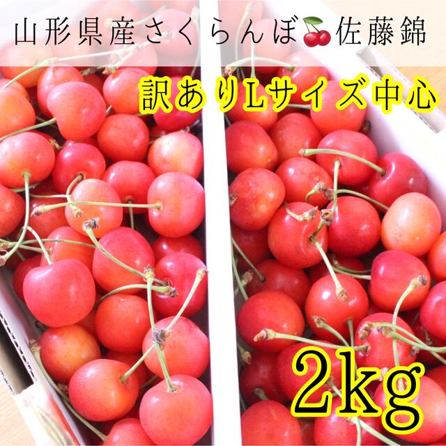 4 山形県産さくらんぼ 佐藤錦 L中心2kg 訳あり家庭用 食品/飲料/酒の食品(フルーツ)の商品写真