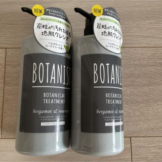 ボタニスト(BOTANIST)のBOTANIST ボタニカルチルトリートメント2本セット(トリートメント)