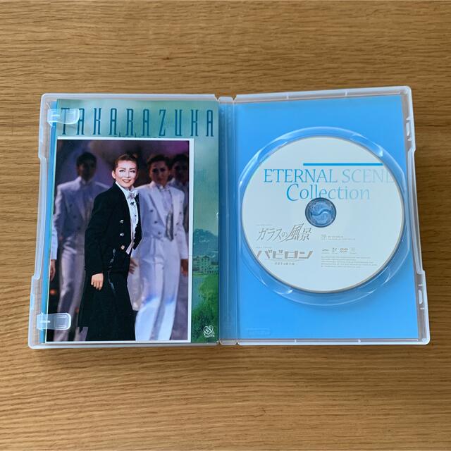 完成品 宝塚 星組 ガラスの風景 バビロン DVD setonda.com