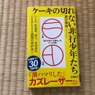 ケーキの切れない非行少年たち(その他)