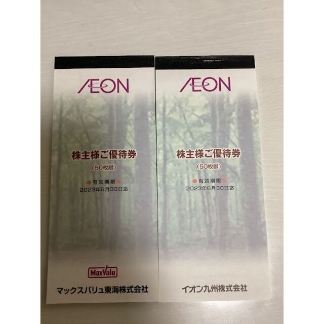 イオン九州,マックスバリュ東海優待券 1万円分 2023年6月末期限 イオン九州,マックスバリュ東海優待券 1万円分 2023年6月末期限