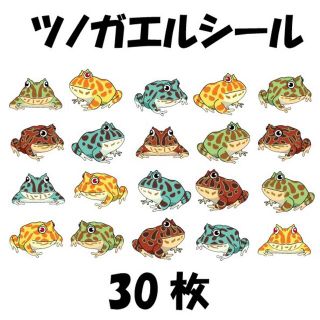 ツノガエルシール(爬虫類/両生類用品)