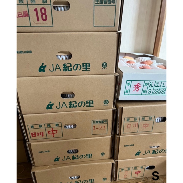 桃　日川白鳳　約1.2kg   ご家庭用  6~8玉 食品/飲料/酒の食品(フルーツ)の商品写真