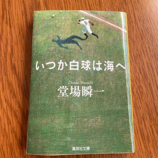 いつか白球は海へ(文学/小説)