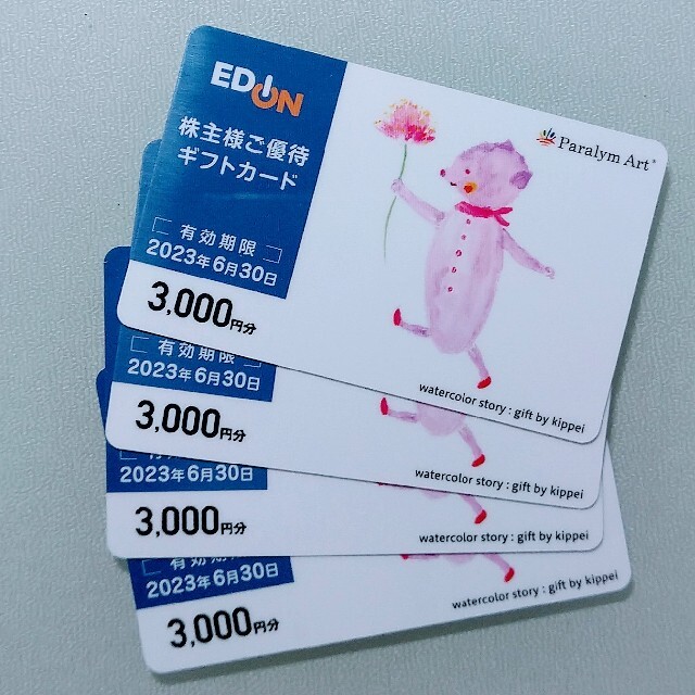 エディオン株主優待3000円分×2