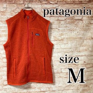 パタゴニア(patagonia)のパタゴニア Patagonia ベスト ボア フルジップ アウター アウトドア(その他)