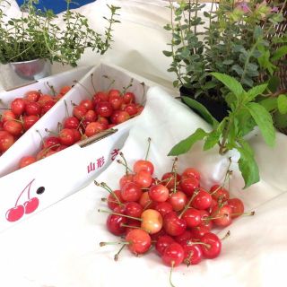 🍒さくらんぼ🍒 佐藤錦 ３ｋｇ（1kg×3箱）【訳あり】産地直送！(フルーツ)