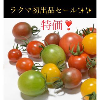 龍宮ジュエリー特売(野菜)