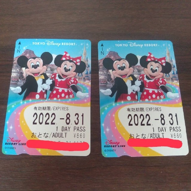Disney(ディズニー)のディズニーリゾートライン（モノレール）　1Day Pass チケットの施設利用券(遊園地/テーマパーク)の商品写真
