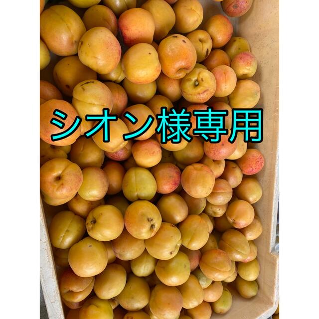 Sion様専用 baxvel.com