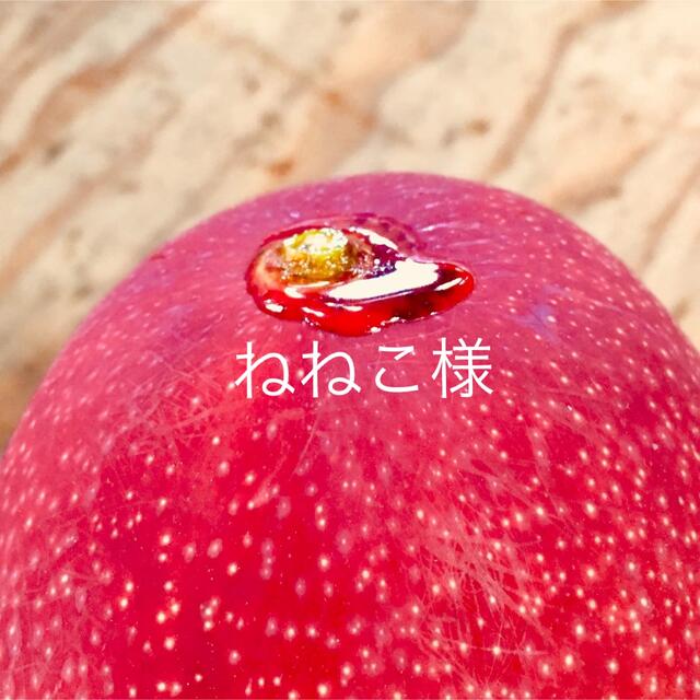 食品/飲料/酒宮崎県産 完熟マンゴー 2kg