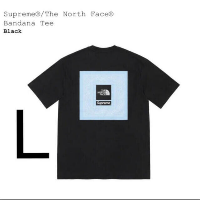 Supreme North face Bandana Tee Black L