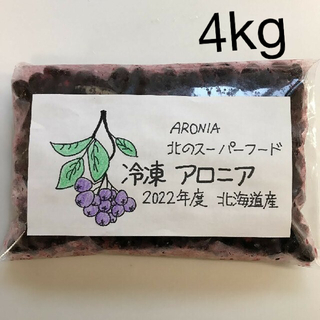 北海道産アロニア冷凍果実　4kg(フルーツ)