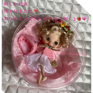 アイシードール プチ カスタムドール ストロベリー8℃(その他)