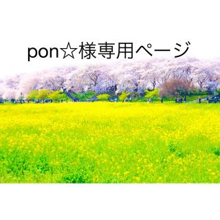 pon☆様専用ページ(その他)