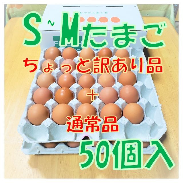 7/11発送【ちょっと訳あり品+通常品混合】S~M50個 食品/飲料/酒の食品(野菜)の商品写真