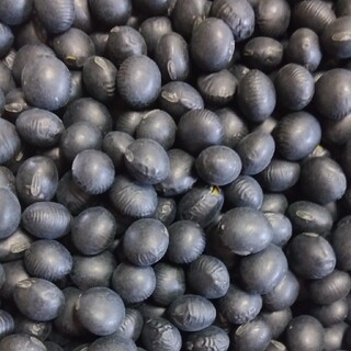北海道産　黒豆　１kg  検査証明あり(米/穀物)