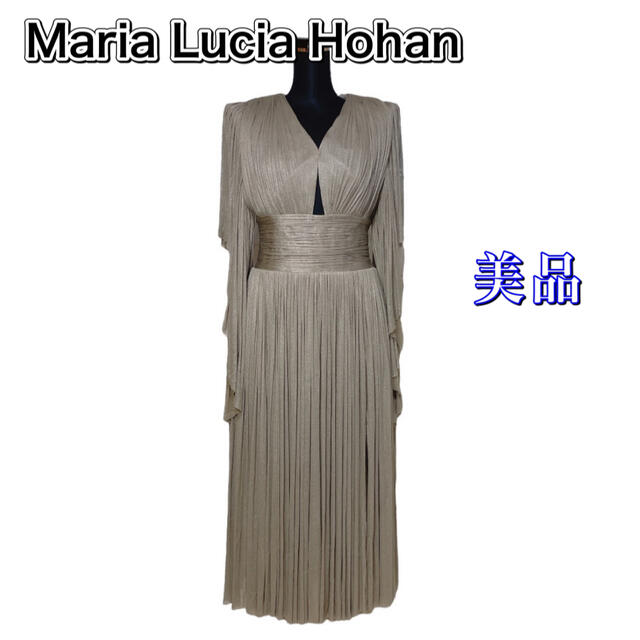 【未使用に近い】Maria Lucia Hohan  シルク ロングドレスカクテルドレス