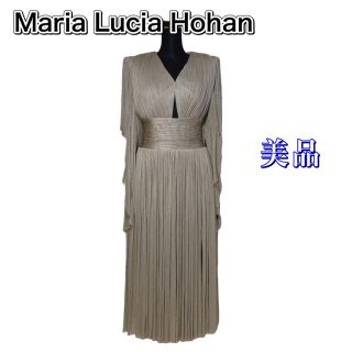 【未使用に近い】Maria Lucia Hohan  シルク ロングドレス(ロングドレス)