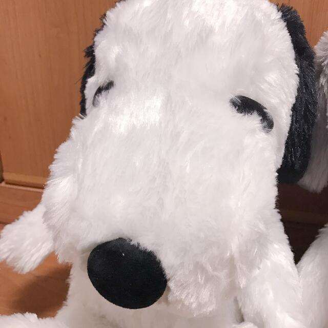 SNOOPY(スヌーピー)の【美品 2点セット】ふわふわ スヌーピー ぬいぐるみ エンタメ/ホビーのおもちゃ/ぬいぐるみ(ぬいぐるみ)の商品写真