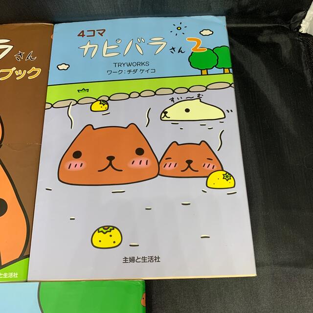 ４コマ　カピバラさん1  カピバラさん2  カピバラさんキュルキュルファンブック エンタメ/ホビーの本(住まい/暮らし/子育て)の商品写真