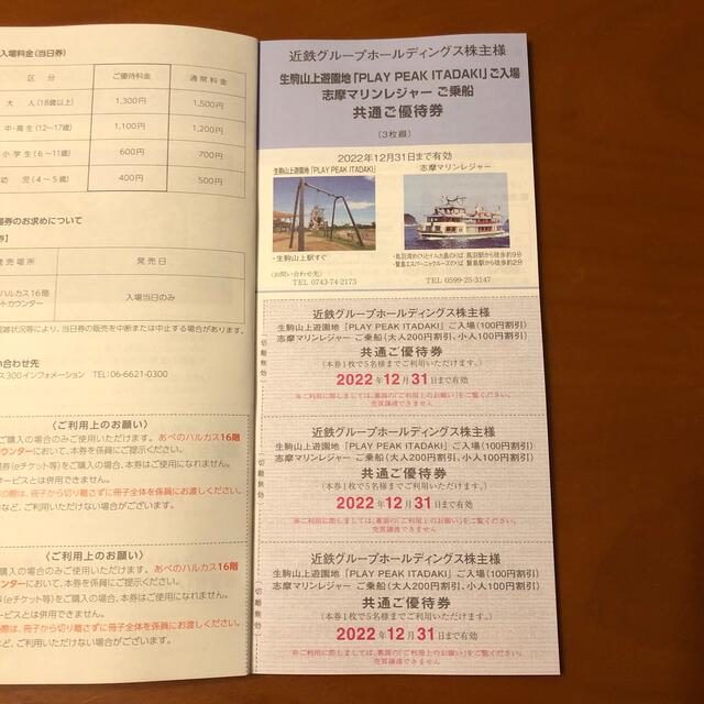 近鉄百貨店(キンテツヒャッカテン)の近鉄グループホールディングス株式会社　株主様ご優待券 チケットの優待券/割引券(その他)の商品写真