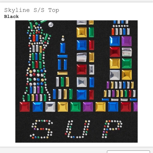 supreme Skyline S/S Top Mサイズ ブラック