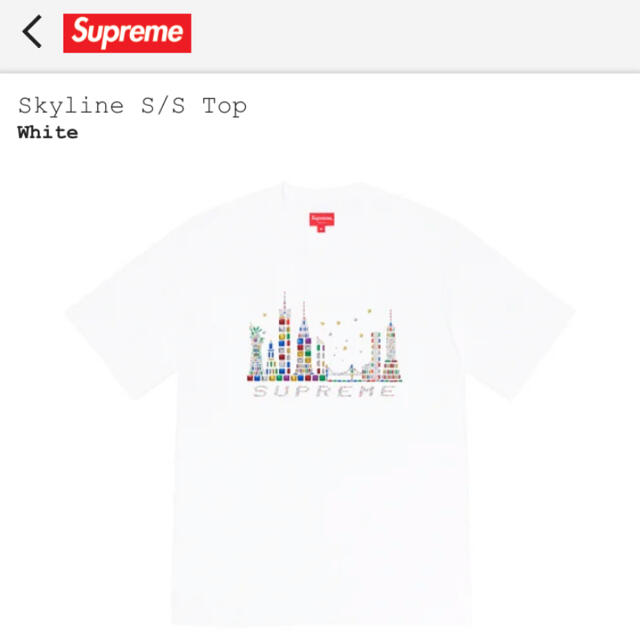 supreme Skyline S/S Top Mサイズ 新品未使用Tシャツ