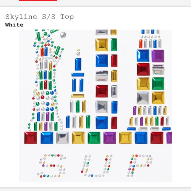 supreme Skyline S/S Top Mサイズ 新品未使用 1
