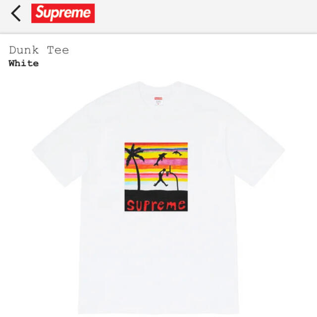 supreme Dunk Tee Mサイズ　新品未使用Tシャツ