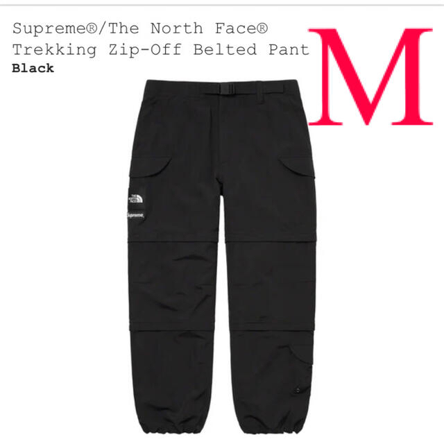 Supreme The North Face Trekking Pant