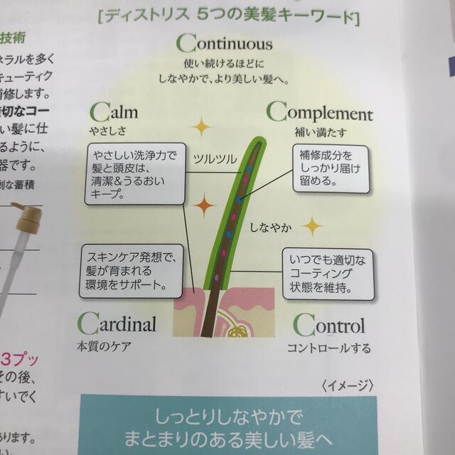 セプテム シャンプー1本&コンディショナー2本セット シャンプー セプテム シャンプー1本&コンディショナー2本セット シャンプー