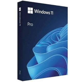 Microsoft - Windows11 pro