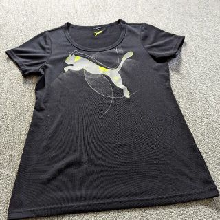 プーマ(PUMA)の半袖 T シャツ(シャツ/ブラウス(半袖/袖なし))