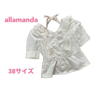 アラマンダ(allamanda)の●未使用 allamanda レース半袖ブラウス トップス 38サイズ●(シャツ/ブラウス(半袖/袖なし))