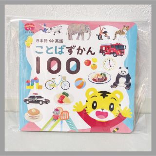 【最新・新品】こどもちゃれんじぷち　ことばずかん100(知育玩具)