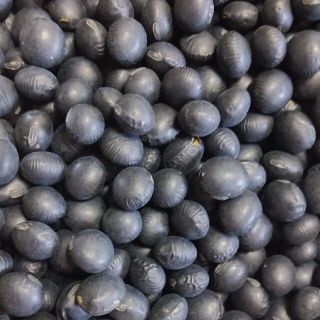北海道産　黒豆　３kg 専用ページ(米/穀物)