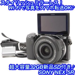 sony nex-5 ケースの通販 200点以上 | フリマアプリ ラクマ - 2ページ目