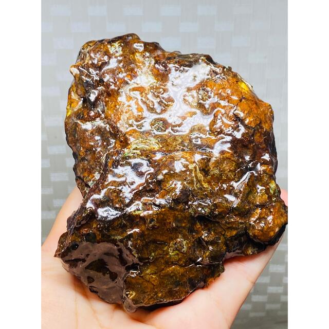 置物 パラサイト隕石 760g セリコ原石 Big最高品質石鉄隕石 隕石 