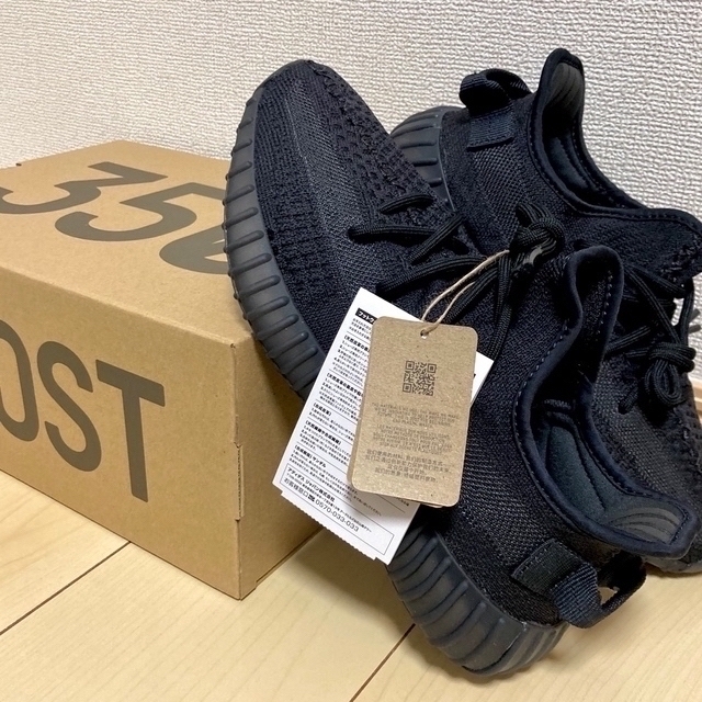 adidas(アディダス)のadidas YEEZY Boost 350 V2 "Onyx" メンズの靴/シューズ(スニーカー)の商品写真