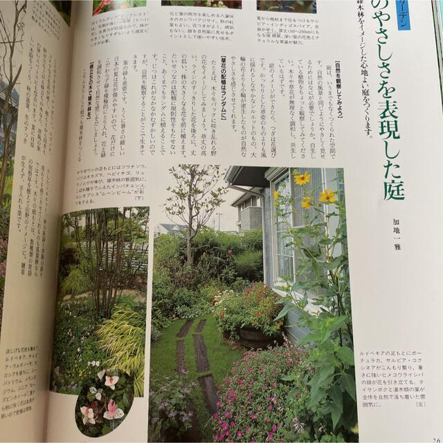 半額 花のくらし 花図鑑 エンタメ/ホビーの本(趣味/スポーツ/実用)の商品写真