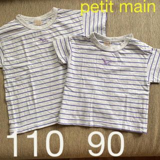 プティマイン(petit main)のpetit main 110 90 プテラノドン　ボーダー半袖Tシャツ　兄弟(Tシャツ/カットソー)