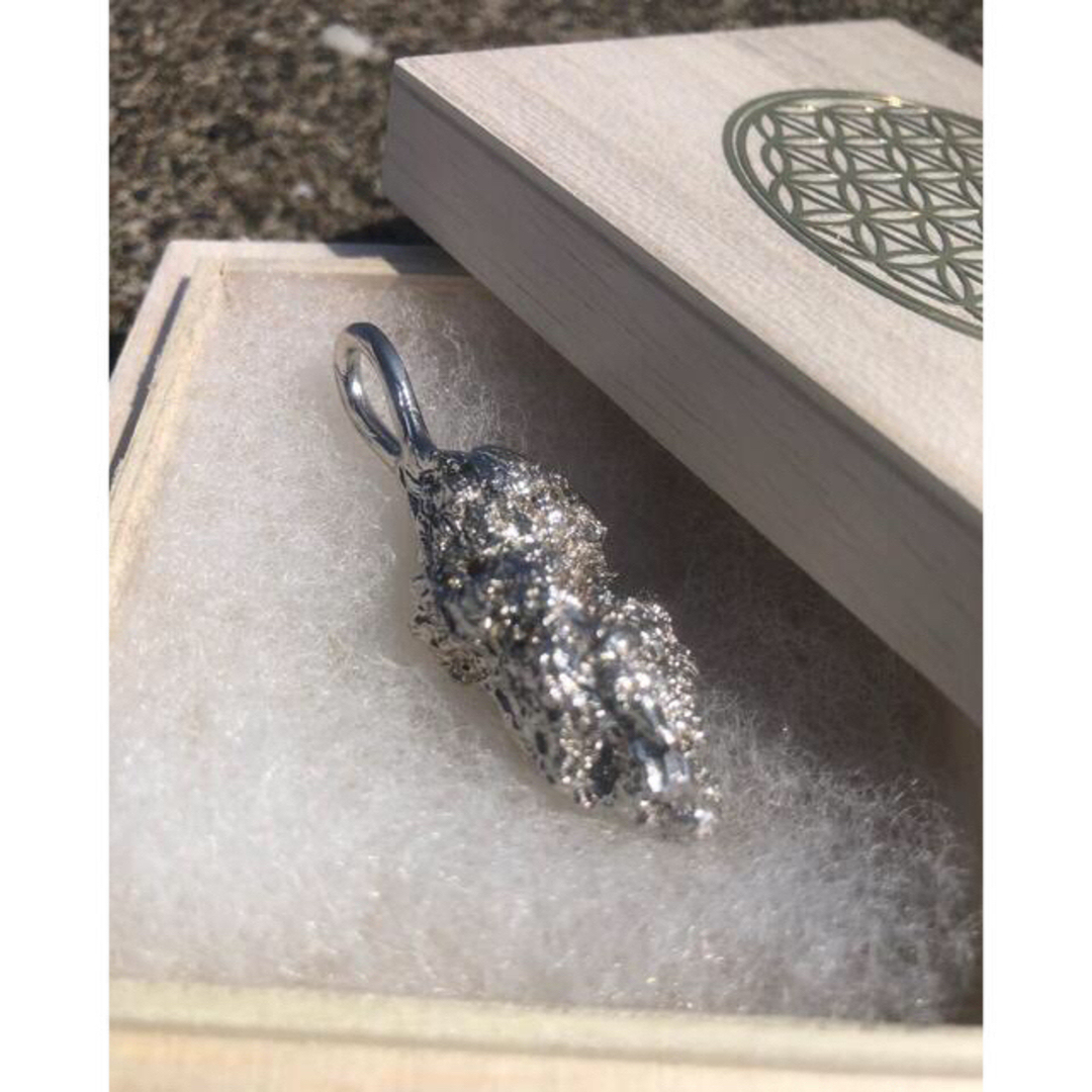 WEED PENDANT TOP/SV925【大】 | フリマアプリ ラクマ