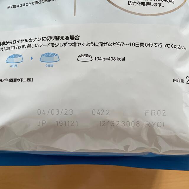 ROYAL CANIN(ロイヤルカナン)のロイヤルカナン2kg 室内　小型犬　子犬用 その他のペット用品(ペットフード)の商品写真