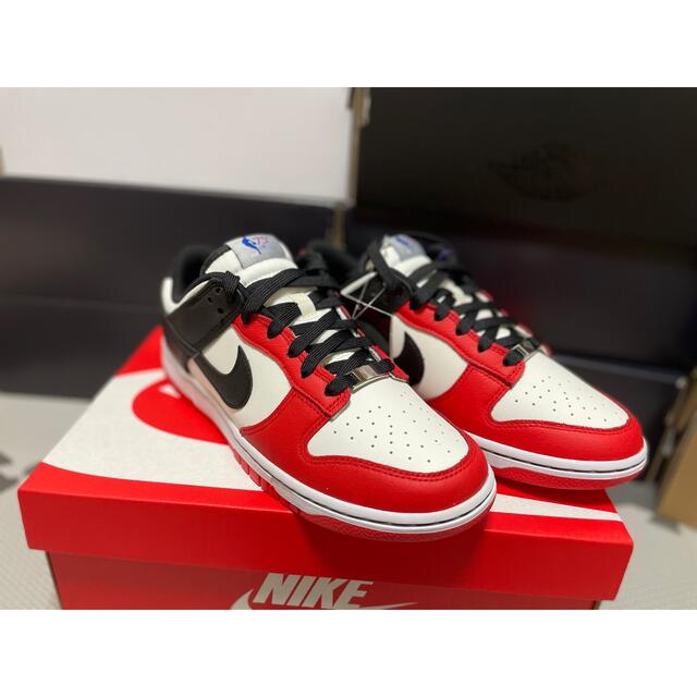 NBA Nike Dunk EMB ナイキ ダンク シカゴブルズ 25.5cm