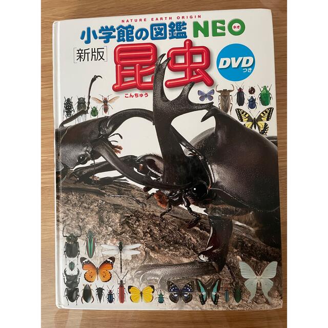 小学館(ショウガクカン)の小学館の図鑑 NEO 新版 昆虫 エンタメ/ホビーの本(絵本/児童書)の商品写真